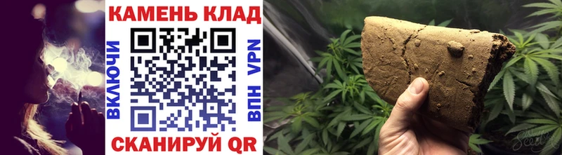 даркнет сайт  Стародуб  ГАШ Ice-O-Lator 